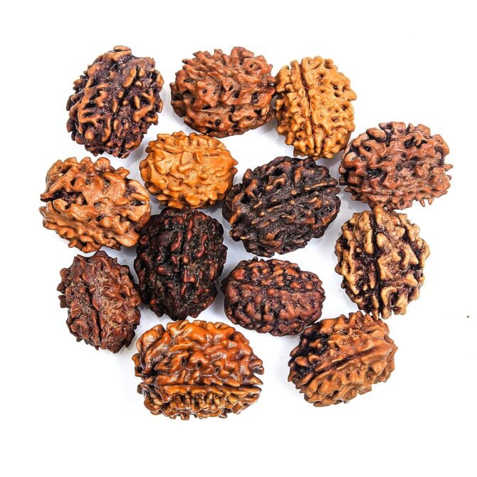 91sllb5fnfs _sl1500_