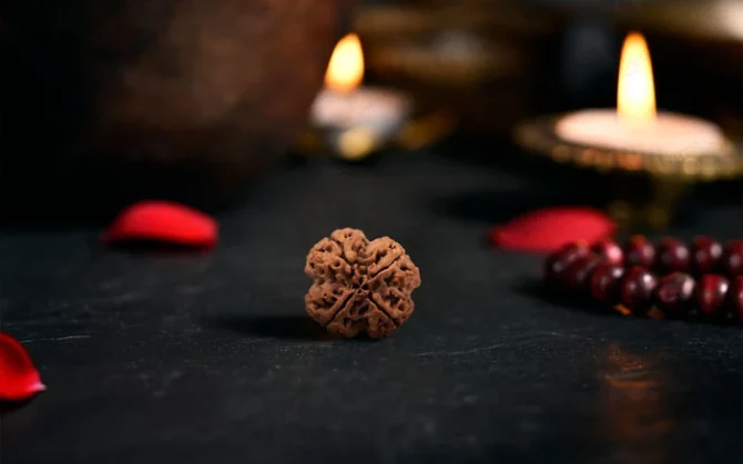 4_mukhi_rudraksha_sku1038r_creative_3ed19830 C092 405f A423 7556ea39abea