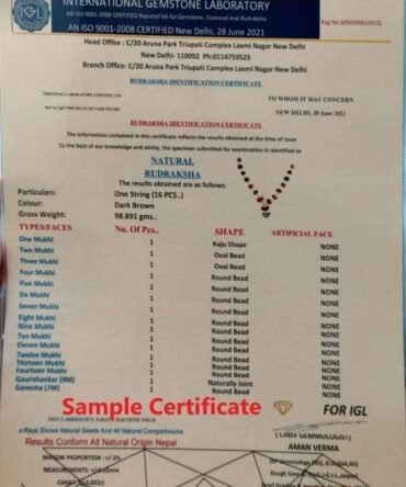 514sqayoh9l